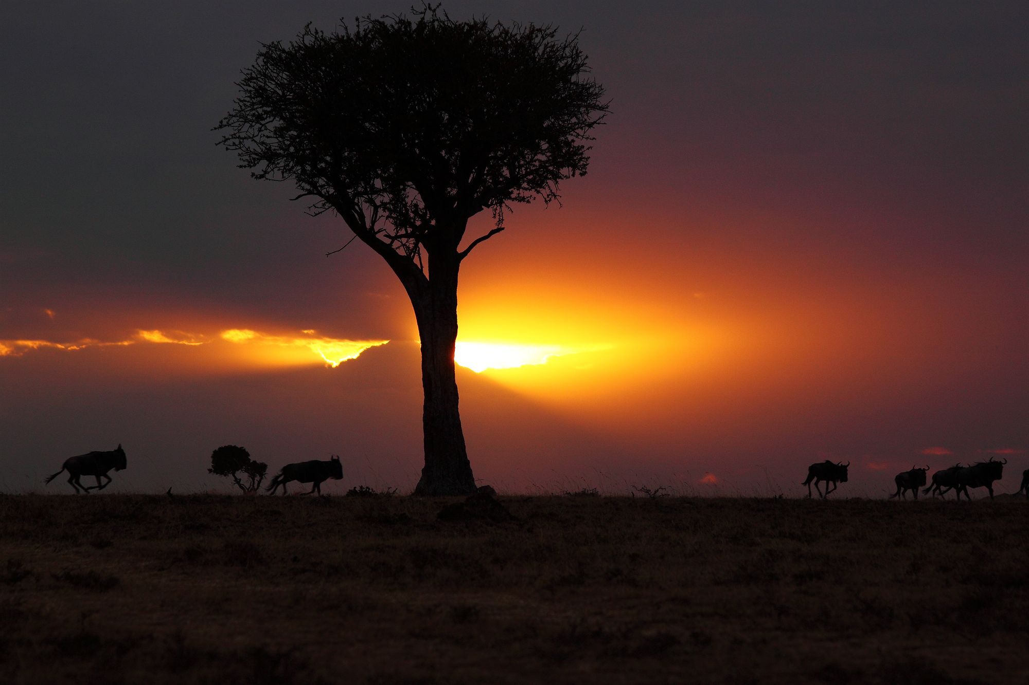Loyk Mara Luxury Camp Hotel Maasai Mara Exterior foto