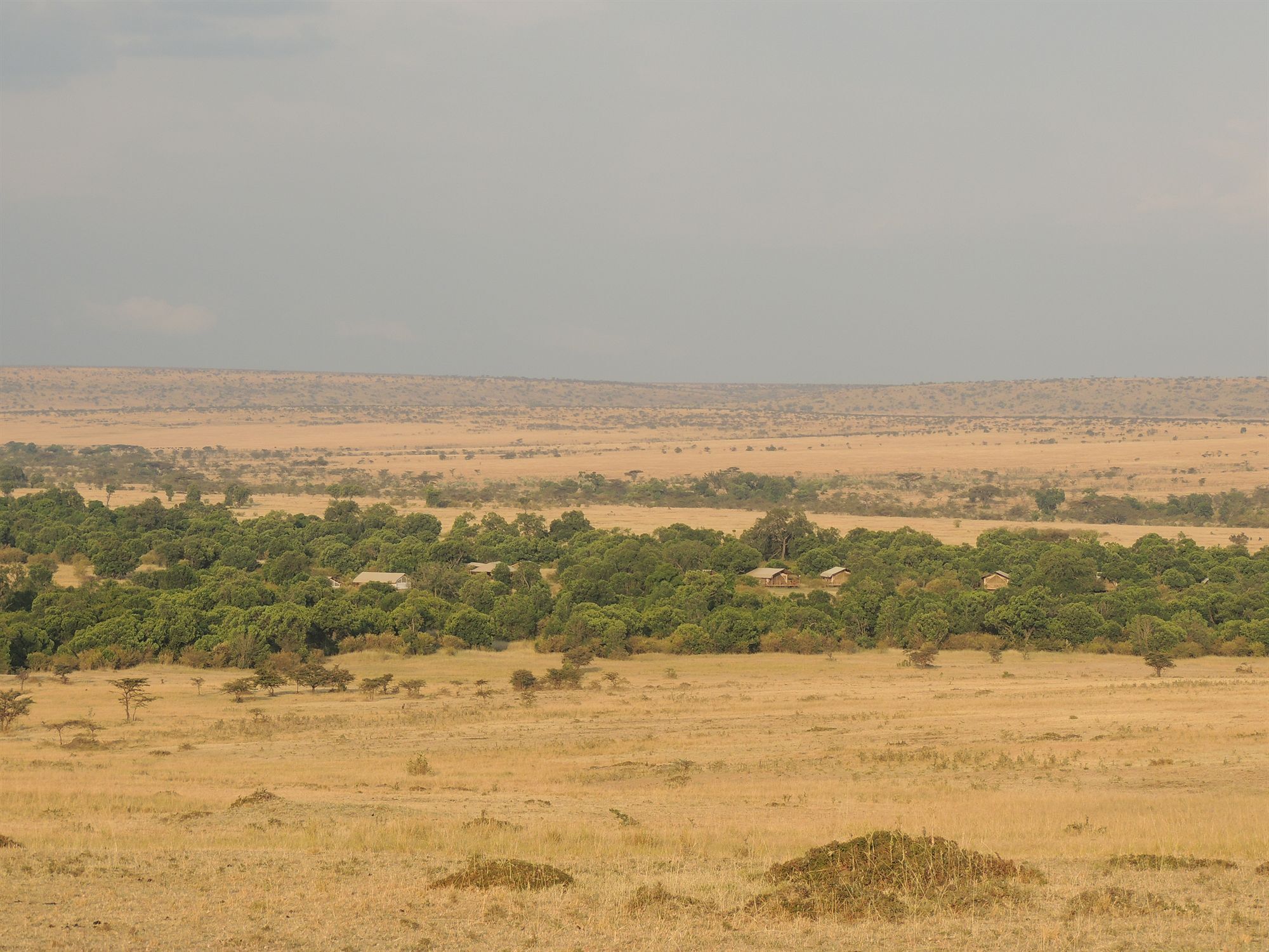 Loyk Mara Luxury Camp Hotel Maasai Mara Exterior foto